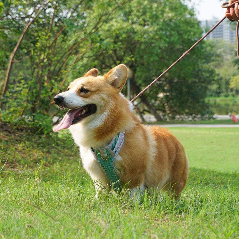 No-Pull Dog Harness with Reflective Stripes - Adjustable Vest Harness with Handle for Training & Walking